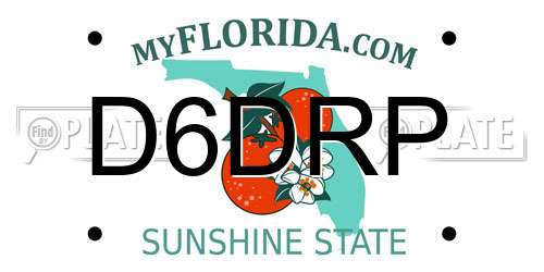 D6DRP Florida License Plate
