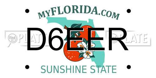D6EER Florida License Plate