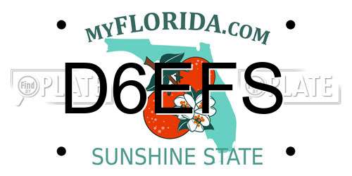 D6EFS Florida License Plate