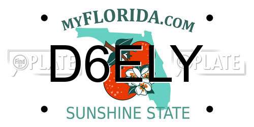 D6ELY Florida License Plate