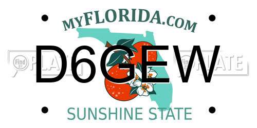 D6GEW Florida License Plate