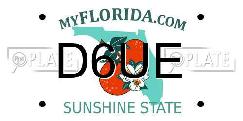 D6UE Florida License Plate