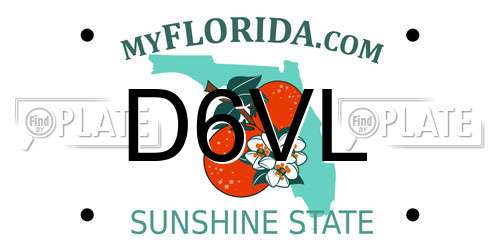 D6VL Florida License Plate