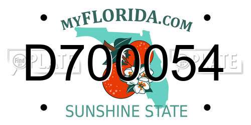 D700054 Florida License Plate