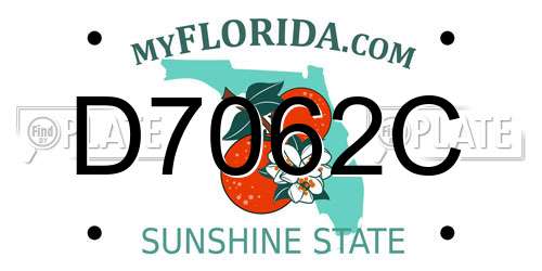 D7062C Florida License Plate