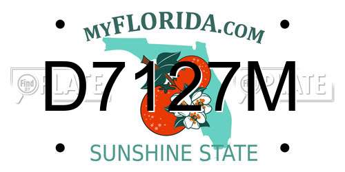 D7127M Florida License Plate