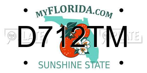 D712TM Florida License Plate