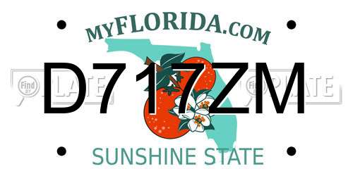 D717ZM Florida License Plate