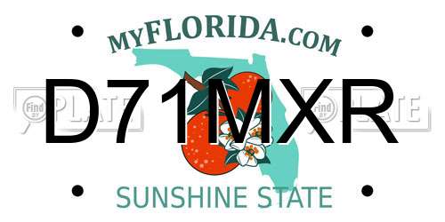 D71MXR Florida License Plate