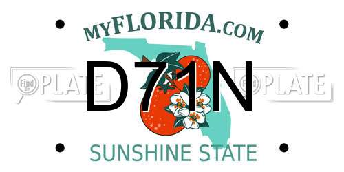 D71N Florida License Plate