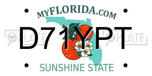 D71YPT Florida License Plate