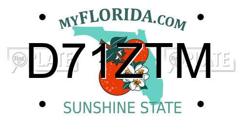 D71ZTM Florida License Plate
