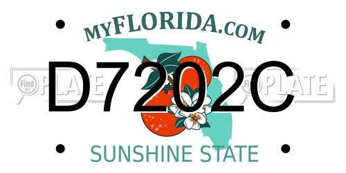 D7202C Florida License Plate