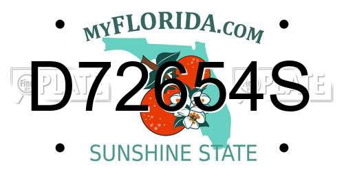 D72654S Florida License Plate