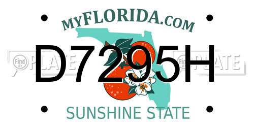 D7295H Florida License Plate