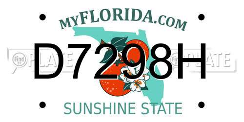 D7298H Florida License Plate