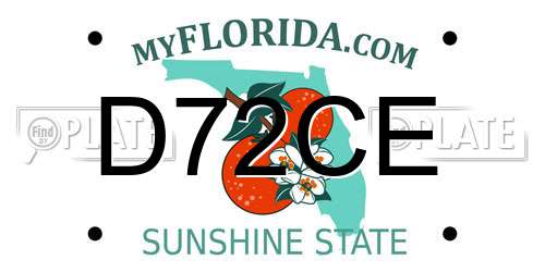 D72CE Florida License Plate