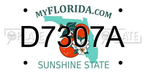 D7307A Florida License Plate