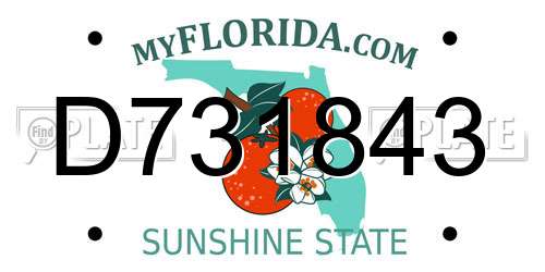 D731843 Florida License Plate