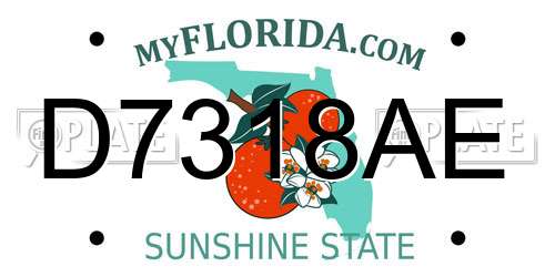 D7318AE Florida License Plate