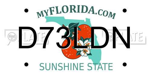 D73LDN Florida License Plate