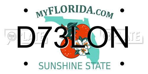D73LON Florida License Plate