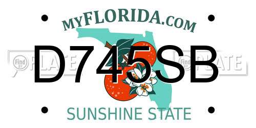 D745SB Florida License Plate