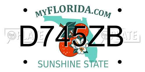 D745ZB Florida License Plate