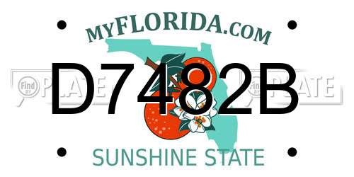 D7482B Florida License Plate