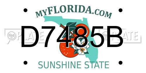 D7485B Florida License Plate