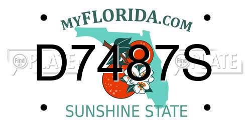 D7487S Florida License Plate