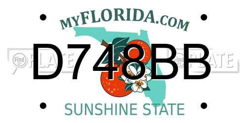 D748BB Florida License Plate
