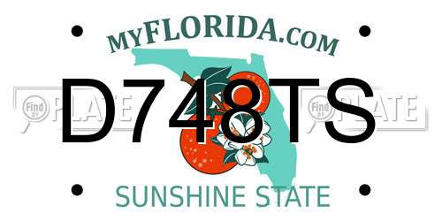 D748TS Florida License Plate