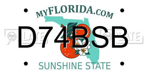 D74BSB Florida License Plate