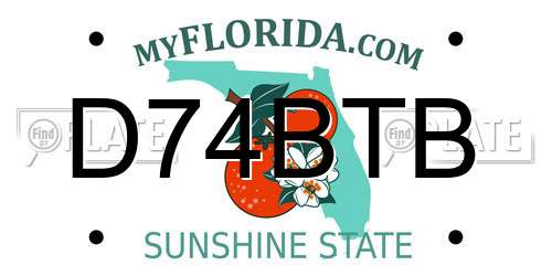 D74BTB Florida License Plate