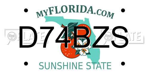 D74BZS Florida License Plate