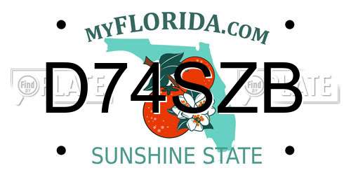 D74SZB Florida License Plate