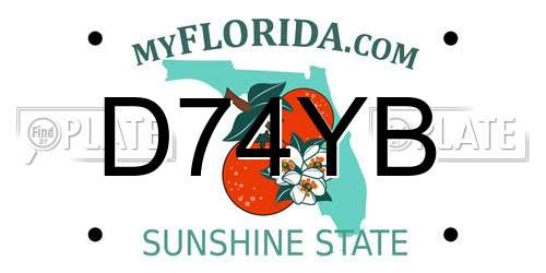 D74YB Florida License Plate