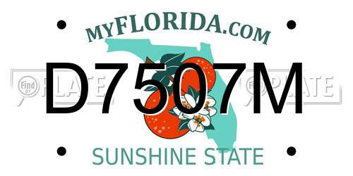 D7507M Florida License Plate