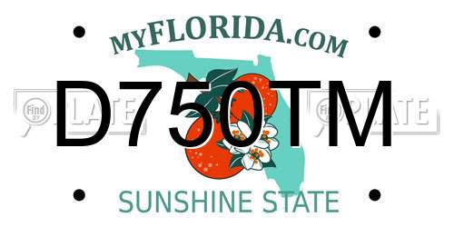 D750TM Florida License Plate