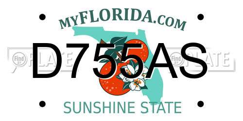 D755AS Florida License Plate