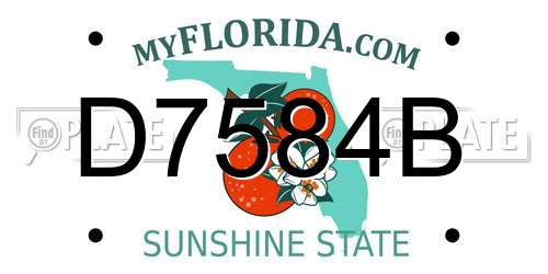 D7584B Florida License Plate