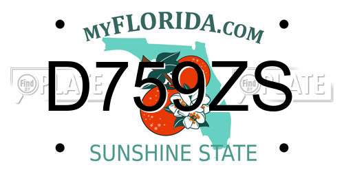 D759ZS Florida License Plate
