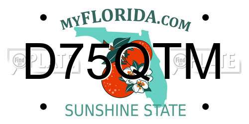 D75QTM Florida License Plate