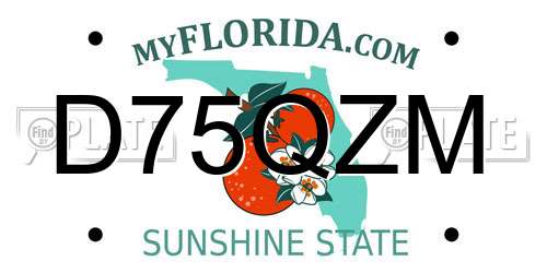 D75QZM Florida License Plate