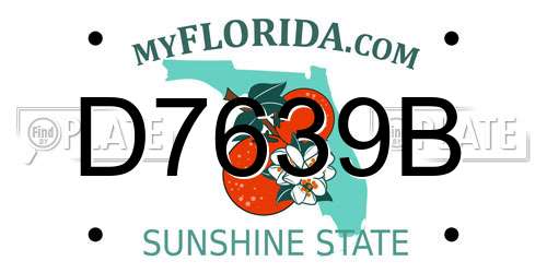 D7639B Florida License Plate
