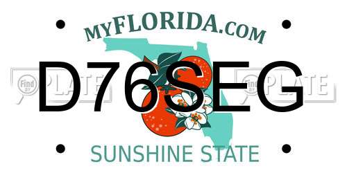 D76SEG Florida License Plate