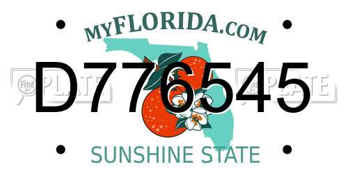 D776545 Florida License Plate