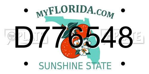 D776548 Florida License Plate