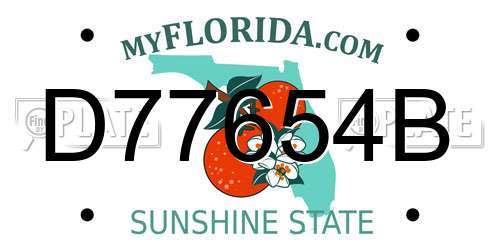 D77654B Florida License Plate
